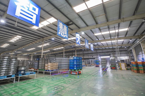 重慶 以智能化驅動轉型升級，汽車零配件批發行業質效雙提升